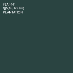 #2A4441 - Plantation Color Image