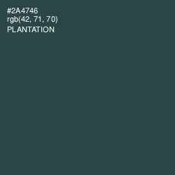 #2A4746 - Plantation Color Image