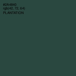 #2A4840 - Plantation Color Image