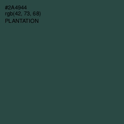 #2A4944 - Plantation Color Image