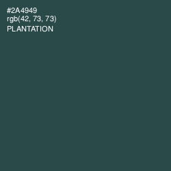 #2A4949 - Plantation Color Image