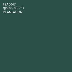 #2A5047 - Plantation Color Image