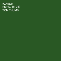 #2A5824 - Tom Thumb Color Image