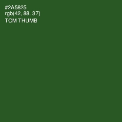 #2A5825 - Tom Thumb Color Image