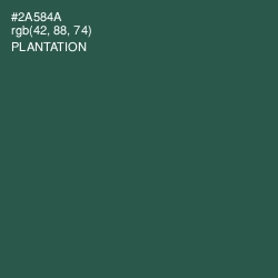 #2A584A - Plantation Color Image