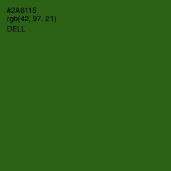 #2A6115 - Dell Color Image