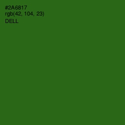 #2A6817 - Dell Color Image