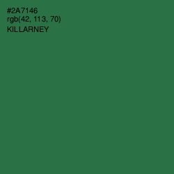 #2A7146 - Killarney Color Image