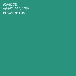 #2A937E - Eucalyptus Color Image