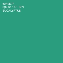 #2A9D7F - Eucalyptus Color Image