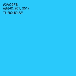 #2AC9FB - Turquoise Color Image