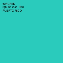 #2ACABD - Puerto Rico Color Image