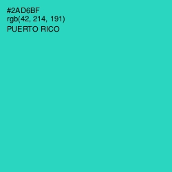 #2AD6BF - Puerto Rico Color Image