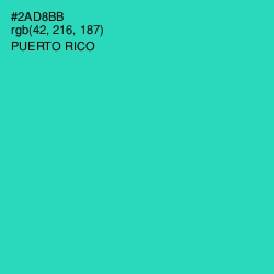 #2AD8BB - Puerto Rico Color Image