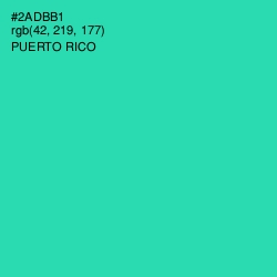 #2ADBB1 - Puerto Rico Color Image