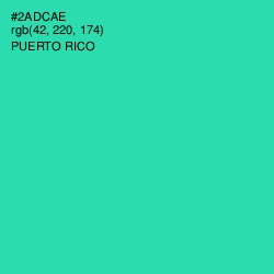 #2ADCAE - Puerto Rico Color Image