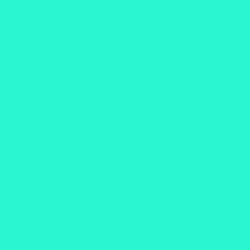 #2AF7D2 - Turquoise Color Image