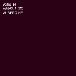 #2B0116 - Aubergine Color Image