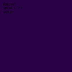 #2B0147 - Violet Color Image