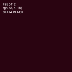 #2B0412 - Sepia Black Color Image