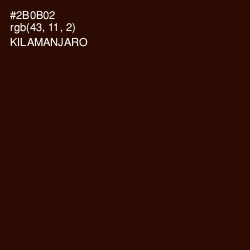 #2B0B02 - Kilamanjaro Color Image