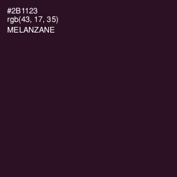 #2B1123 - Melanzane Color Image