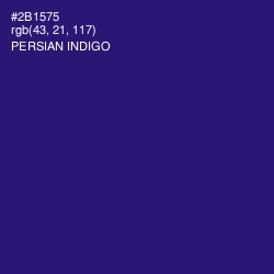 #2B1575 - Persian Indigo Color Image