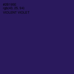 #2B195E - Violent Violet Color Image