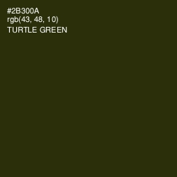 #2B300A - Turtle Green Color Image