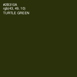 #2B310A - Turtle Green Color Image