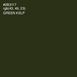 #2B3117 - Green Kelp Color Image