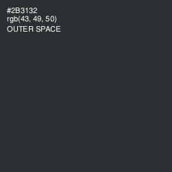 #2B3132 - Outer Space Color Image