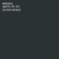 #2B3234 - Outer Space Color Image