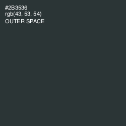 #2B3536 - Outer Space Color Image