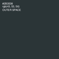 #2B3538 - Outer Space Color Image