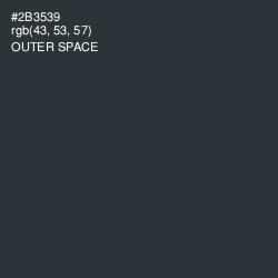 #2B3539 - Outer Space Color Image