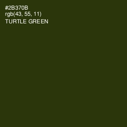 #2B370B - Turtle Green Color Image