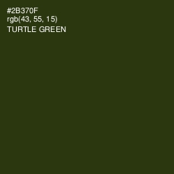 #2B370F - Turtle Green Color Image