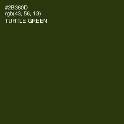 #2B380D - Turtle Green Color Image