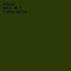 #2B3A07 - Turtle Green Color Image