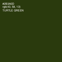 #2B3A0D - Turtle Green Color Image