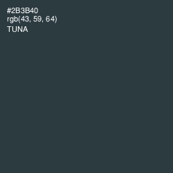 #2B3B40 - Tuna Color Image