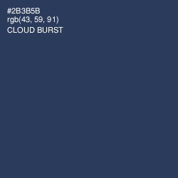 #2B3B5B - Cloud Burst Color Image