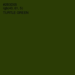 #2B3D05 - Turtle Green Color Image