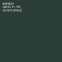 #2B3D37 - Outer Space Color Image