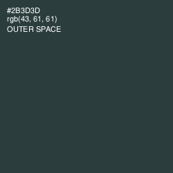 #2B3D3D - Outer Space Color Image