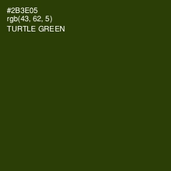 #2B3E05 - Turtle Green Color Image