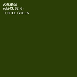 #2B3E06 - Turtle Green Color Image