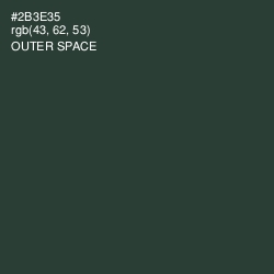 #2B3E35 - Outer Space Color Image