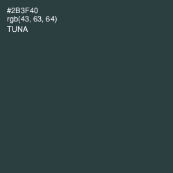 #2B3F40 - Tuna Color Image